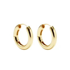 Hinge Hoops in Gold