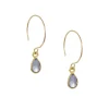 Margaret Solow – Tanzanite Drop Earrings