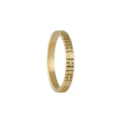 Marian Maurer - Narrow Code Band