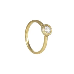 Rebecca Overmann - Hidden Halo Brilliant Rosecut Diamond Ring