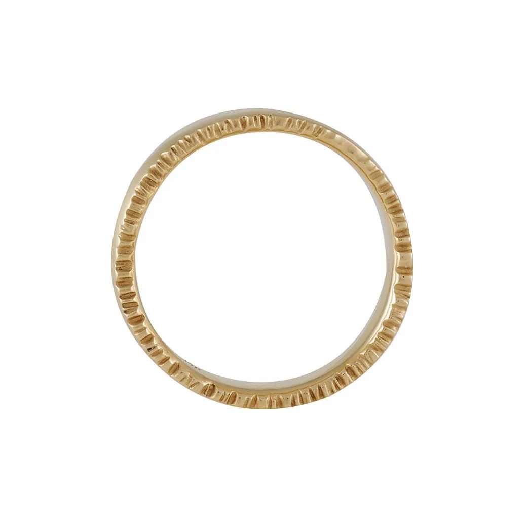 Rebecca Overmann - Rough Edge Band